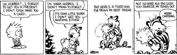 Uh, Hobbes? ... I forgot to get you a present. I didn't even make you a card ... I'm sorry Hobbes. I didn't mean to forget. It's okay, little buddy. I didn't get you anything either. But here's a tiger hug for being my best friend. Not so hard, you big sissy. You squeeze my tears out. Merry Christmas.