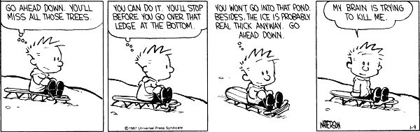 Go ahead down. You'll miss all those trees. You can do it. You'll stop before you go over that ledge at the bottom. You won't go into that pond. Besides, the ice is probably real thick anyway. Go ahead down. My brain is trying to kill me.